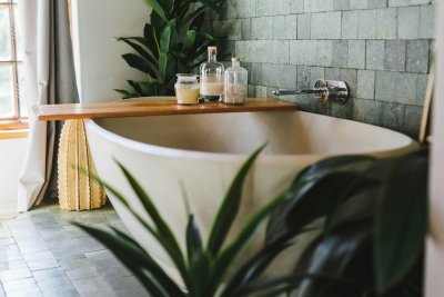 Deze planten houden het juist goed uit in de badkamer